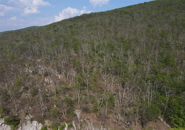 Photo 2 of Land for sale at Route 52, Wawarsing, NY 12489 | MLS# 871986 | Listing updated on 2026-03-31