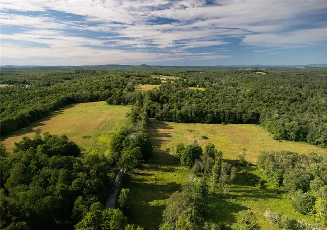 Photo 4 of Single family home for sale at 49 Crumley Van Vactor Rd, Ferndale, NY 12734 | MLS# 874421 | Listing updated on 2026-09-04