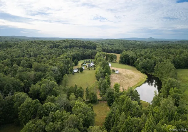 Photo 5 of Single family home for sale at 49 Crumley Van Vactor Rd, Ferndale, NY 12734 | MLS# 874421 | Listing updated on 2026-09-04