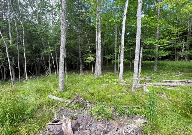 Photo 3 of Land for sale at Tbd Boulder Brk Lot B14 Rd, Windham, NY 12496 | MLS# 878309 | Listing updated on 2026-08-28