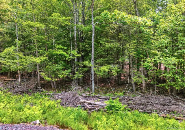 Photo 4 of Land for sale at Tbd Boulder Brk Lot B14 Rd, Windham, NY 12496 | MLS# 878309 | Listing updated on 2026-08-28