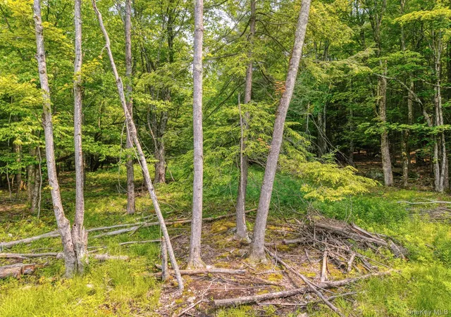 Photo 5 of Land for sale at Tbd Boulder Brk Lot B14 Rd, Windham, NY 12496 | MLS# 878309 | Listing updated on 2026-08-28