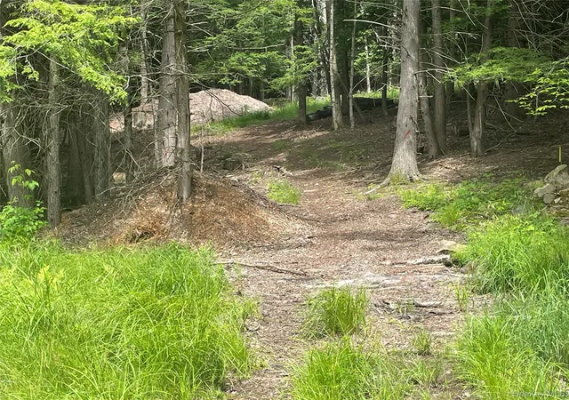 Photo 3 of Land for sale at Tbd Boulder Brk Lot B12 Rd, Windham, NY 12496 | MLS# 878623 | Listing updated on 2026-08-28