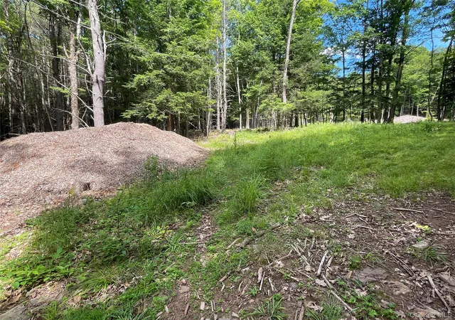 Photo 4 of Land for sale at Tbd Boulder Brk Lot B12 Rd, Windham, NY 12496 | MLS# 878623 | Listing updated on 2026-08-28