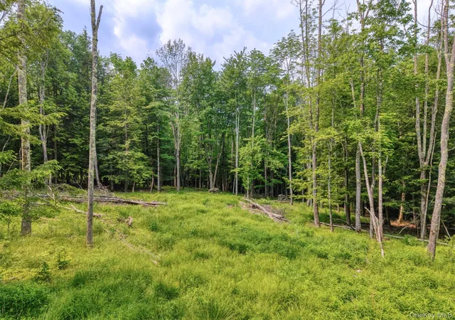 Photo 5 of Land for sale at Tbd Boulder Brk Lot B12 Rd, Windham, NY 12496 | MLS# 878623 | Listing updated on 2026-08-28