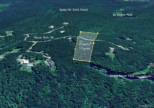 Photo 4 of Land for sale at 400 Mercer Mountain Rd, East Chatham, NY 12060 | MLS# 880044 | Listing updated on 2026-09-13