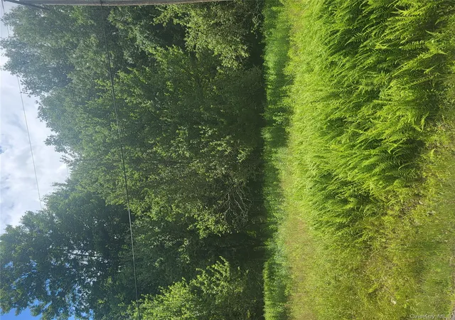 Photo 1 of Land at ** Creamery Rd, Swan Lake, NY 12783 | MLS# 888216 |  | Sold on 2026-06-05