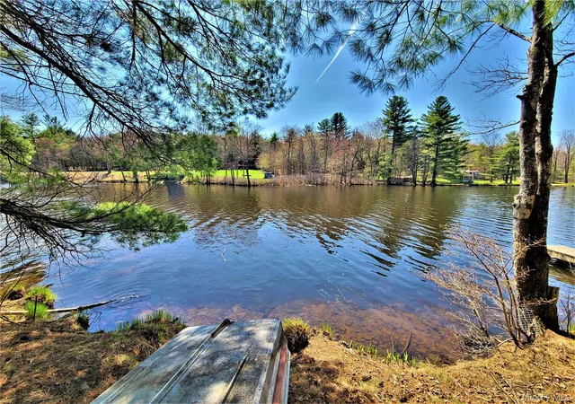 Homes for sale in Bethel, NY | 25 George Segar Rd, Bethel, NY 12783 | MLS# 892163