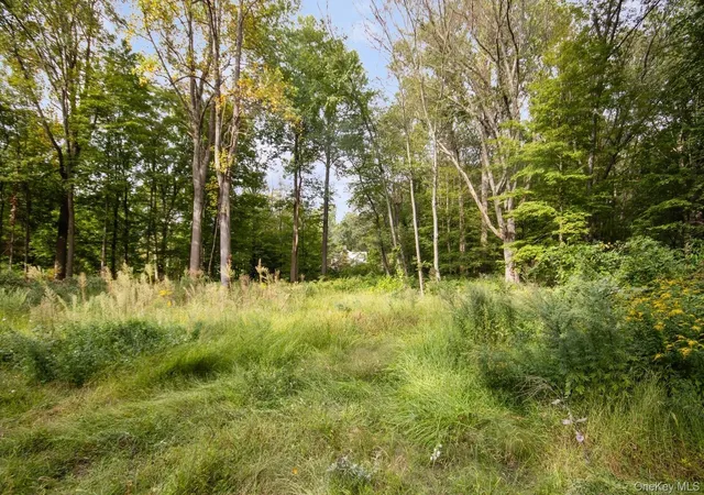 Homes for sale in Philipstown, NY | Tbd Rt 9d, Philipstown, NY 10524 | MLS# 895215