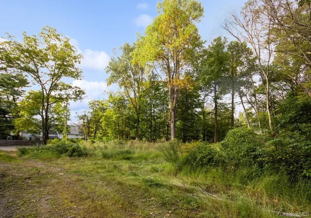Homes for sale in Philipstown, NY | Tbd Rt 9d, Philipstown, NY 10524 | MLS# 895215