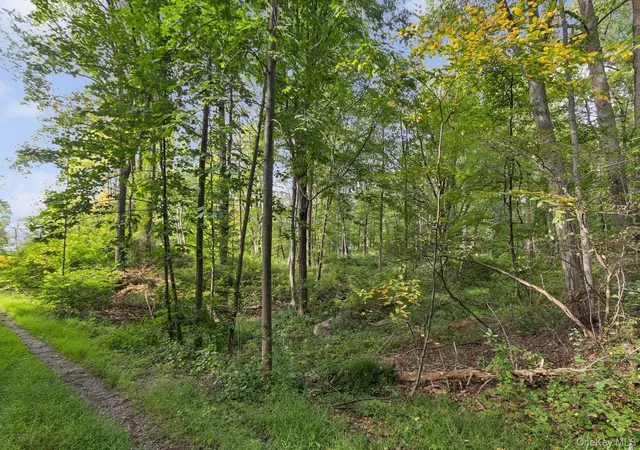 Homes for sale in Philipstown, NY | Tbd Rt-9D, Philipstown, NY 10524 | MLS# 895215
