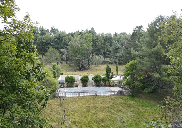 Homes for sale in Tusten, NY | 259 Lackawaxen Rd, Tusten, NY 12764 | MLS# 896032