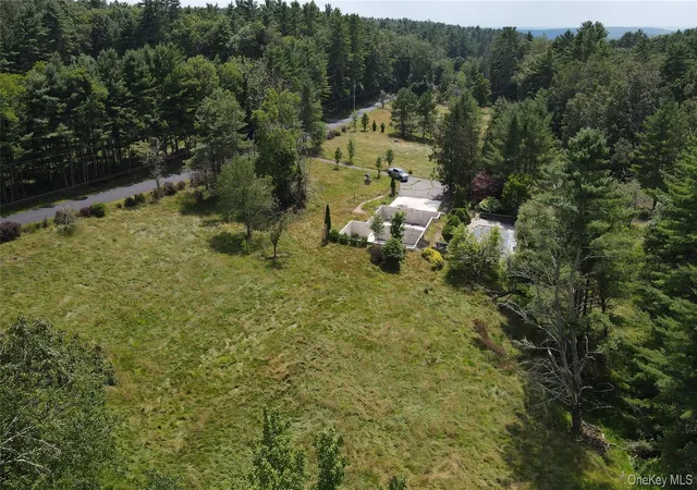 Homes for sale in Tusten, NY | 259 Lackawaxen Rd, Tusten, NY 12764 | MLS# 896032