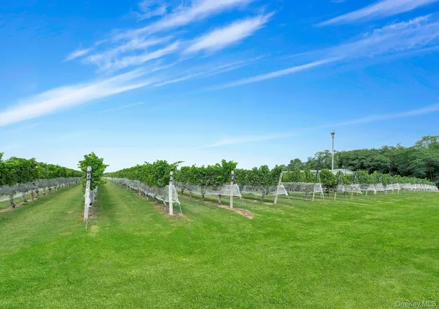 2nd image of 44075 Route 25, Southold, NY 11971 | MLS# 896328