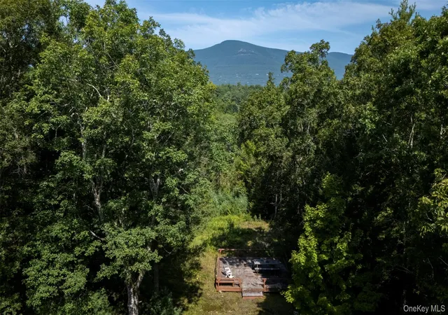 24th image of 327 Phillips Rd, Saugerties, NY 12477 | MLS# 899946