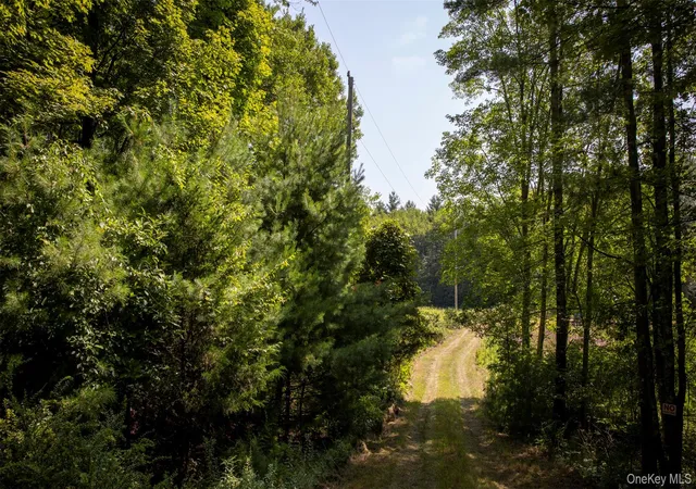 4th image of 327 Phillips Rd, Saugerties, NY 12477 | MLS# 899946