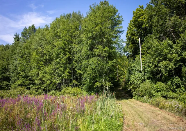 5th image of 327 Phillips Rd, Saugerties, NY 12477 | MLS# 899946