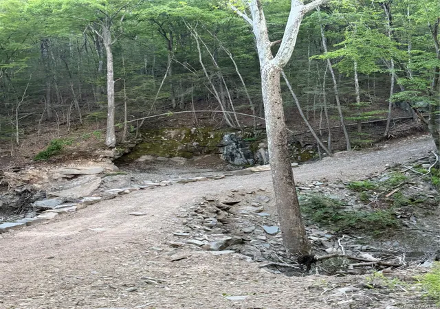 Photo 38 of Single family home for sale at 201 Basket Brook Rd, Fremont, NY 12760 | MLS# 900266 | Listing updated on 2026-08-11