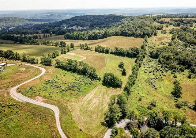 Photo 1 of Land for sale at Beechwoods Rd, Delaware, NY 12723 | MLS# 901475 | Listing updated on 2026-08-17