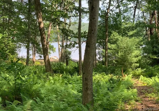 Photo 3 of Land for sale at Lot 23 Woodstone Trl, Mongaup Valley, NY 12762 | MLS# 903318 | Listing updated on 2026-08-11
