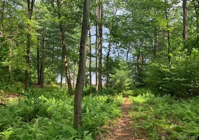 Photo 4 of Land for sale at Lot 23 Woodstone Trl, Mongaup Valley, NY 12762 | MLS# 903318 | Listing updated on 2026-08-11