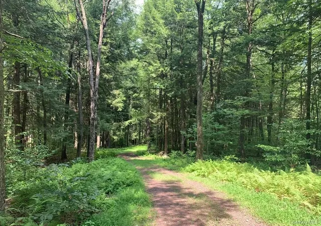 Photo 5 of Land for sale at Lot 23 Woodstone Trl, Mongaup Valley, NY 12762 | MLS# 903318 | Listing updated on 2026-08-11