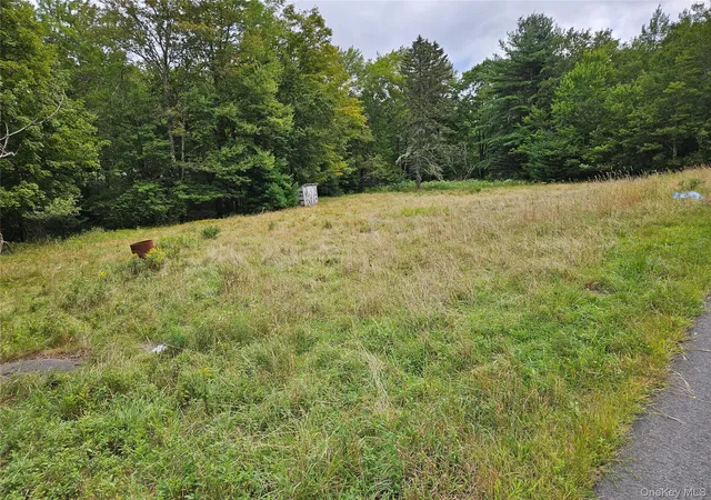 Homes for sale in Bethel, NY | Flower Ave & State Route 55, Bethel, NY 12720 | MLS# 905632