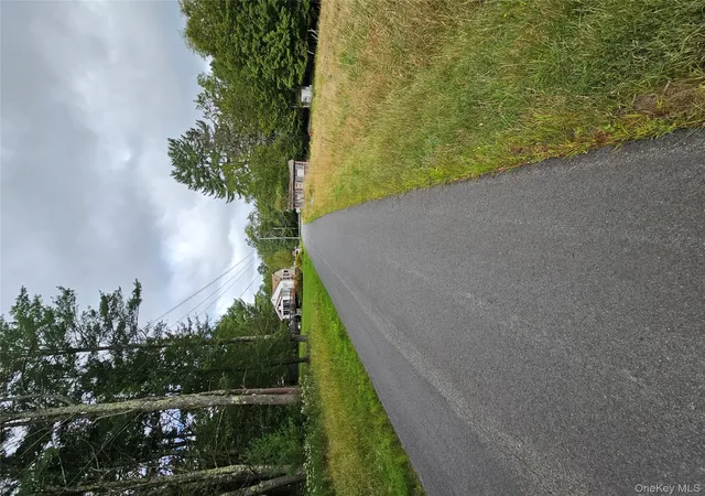 Homes for sale in Bethel, NY | Flower Ave & State Route 55, Bethel, NY 12720 | MLS# 905632