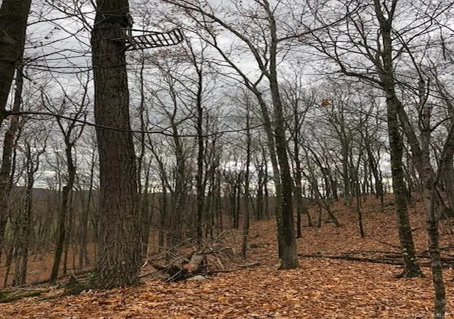 Photo 30 of Sale Pending at Lily Lake Rd, Highland, NY 12528 | MLS# 908782 | Listing updated on 2026-08-25