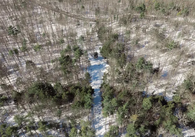 Photo 3 of Land for sale at 0 Dug Hl Rd, Hurley, NY 12443 | MLS# 909201 | Listing updated on 2026-08-24