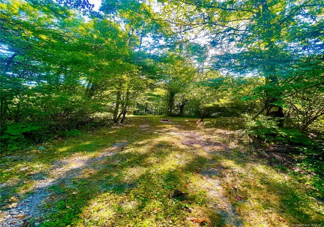 Land for sale at Tbd Bull Rd, Washingtonville, NY 10992 | MLS# 910103 | Listing updated on 2026-03-12