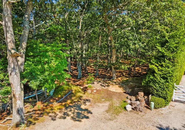 23rd image of 4 Calvin St, East Hampton, NY 11937 | MLS# 912145