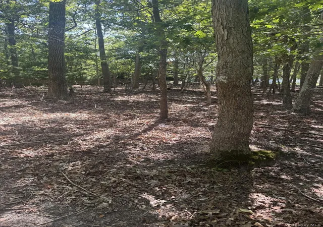 4th image of 4 Calvin St, East Hampton, NY 11937 | MLS# 912145