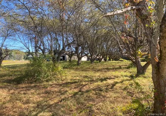 4th image of 989 State Route 32, Wallkill, NY 12589 | MLS# 914571