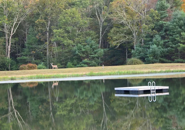 Photo 1 of Land for sale at Split Rock Dr, Barryville, NY 12719 | MLS# 921291 | Listing updated on 2026-07-09