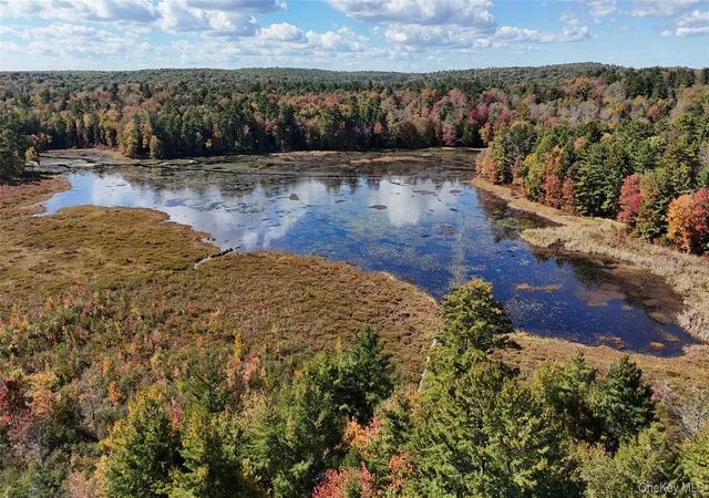 Photo 1 of Land for sale at Lot 4 Deer Meadow Road, White Lake, NY 12786 | MLS# 923105 | Listing updated on 2026-10-12