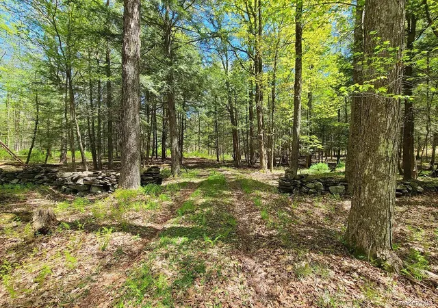 Photo 2 of Land for sale at Lot 4 Deer Meadow Road, White Lake, NY 12786 | MLS# 923105 | Listing updated on 2026-10-12