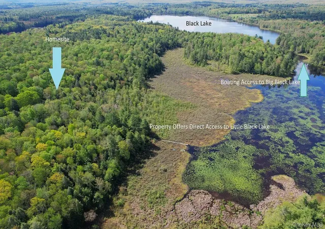 Photo 3 of Land for sale at Lot 4 Deer Meadow Road, White Lake, NY 12786 | MLS# 923105 | Listing updated on 2026-10-12