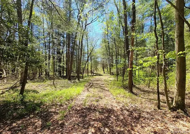 Photo 3 of Land for sale at Lot 4 Deer Meadow Road, White Lake, NY 12786 | MLS# 923105 | Listing updated on 2026-10-14