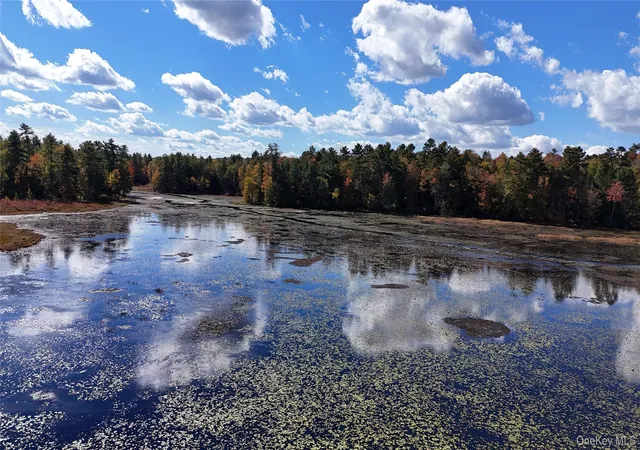 Photo 4 of Land for sale at Lot 4 Deer Meadow Road, White Lake, NY 12786 | MLS# 923105 | Listing updated on 2026-10-14