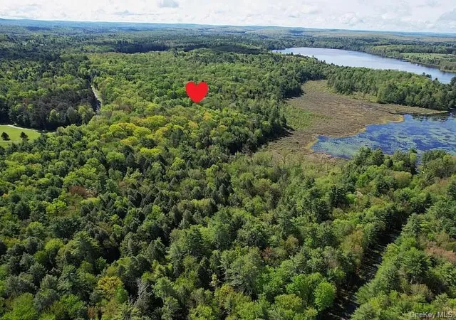 Photo 10 of Land for sale at Lot 4 Deer Meadow Road, White Lake, NY 12786 | MLS# 923105 | Listing updated on 2026-10-12