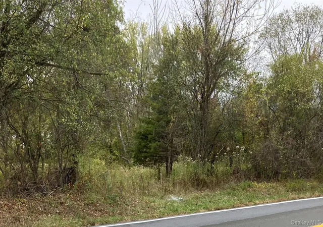 Photo 3 of Sale Pending at 3346 Route 207, Goshen, NY 10924 | MLS# 923927 | Listing updated on 2026-07-14