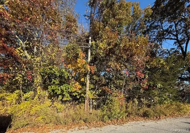 1st image of 48 Newton Blvd, Ronkonkoma, NY 11779 | MLS# 931389