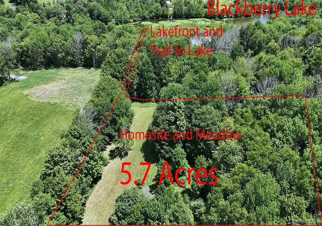 Homes for sale in Callicoon, NY | Blackberry Lake Rd, Callicoon, NY 12748 | MLS# 932984