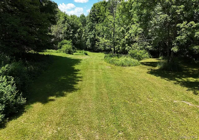 Homes for sale in Callicoon, NY | Blackberry Lake Rd, Callicoon, NY 12748 | MLS# 932984