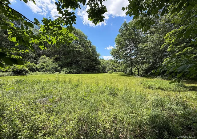 Homes for sale in Callicoon, NY | Blackberry Lake Rd, Callicoon, NY 12748 | MLS# 932984