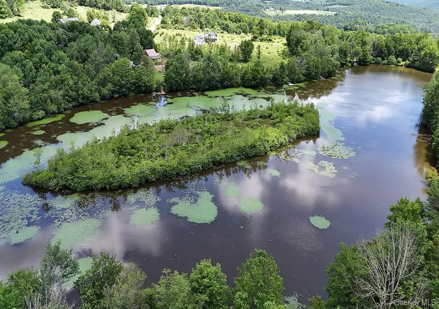 Homes for sale in Callicoon, NY | Blackberry Lake Rd, Callicoon, NY 12748 | MLS# 932984