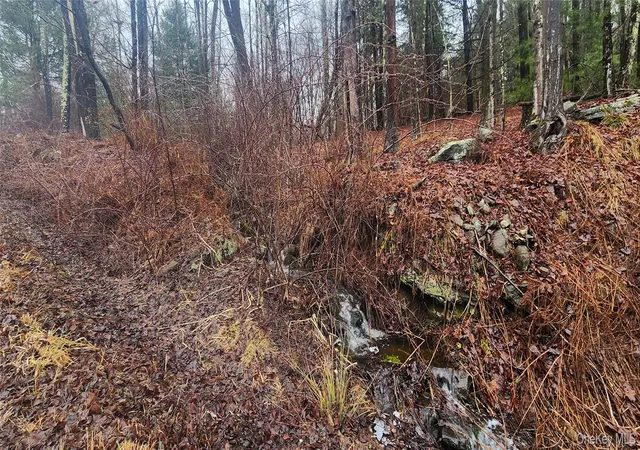 Homes for sale in Thompson, NY | Thompson Rd, Thompson, NY 12784 | MLS# 937350