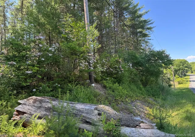 Homes for sale in Forestburgh, NY | 1315 Sackett Lake Rd, Forestburgh, NY 12777 | MLS# 943101