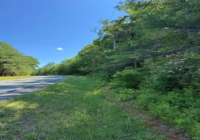 Homes for sale in Forestburgh, NY | 1315 Sackett Lake Rd, Forestburgh, NY 12777 | MLS# 943101